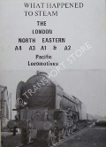 Book cover of What Happened to Steam by HANDS, Peter